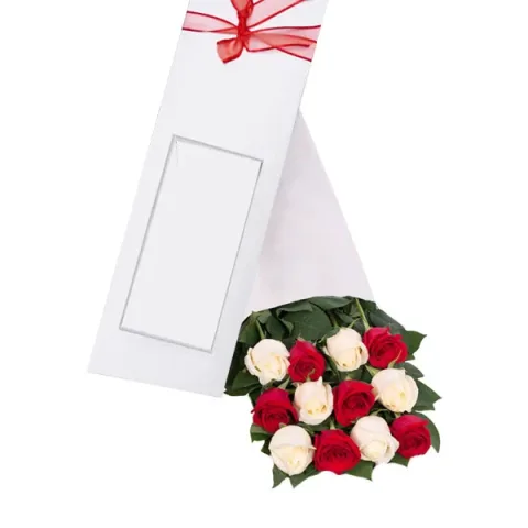 Caja de Rosas Rojas y Blancas