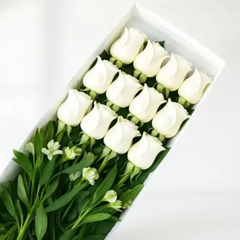 Caja de Rosas Blancas